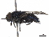  ( - BIOUG52777-H07)  @11 [ ] CreativeCommons - Attribution (2020) CBG Photography Group Centre for Biodiversity Genomics