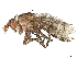  ( - CBG-A16468-H04)  @11 [ ] CreativeCommons - Attribution (2023) CBG Photography Group Centre for Biodiversity Genomics