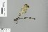  ( - RMNH.INS.504041)  @13 [ ] CreativeCommons - Attribution Non-Commercial Share-Alike (2013) Unspecified Naturalis Biodiversity Center