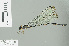  ( - RMNH.INS.507686)  @13 [ ] CreativeCommons - Attribution Non-Commercial Share-Alike (2013) Unspecified Naturalis Biodiversity Center