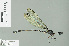 ( - RMNH.INS.509634)  @13 [ ] CreativeCommons - Attribution Non-Commercial Share-Alike (2013) Unspecified Naturalis Biodiversity Center