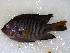  ( - JHLOW00003)  @13 [ ] Unspecified (default): All Rights Reserved  Unspecified Unspecified