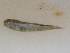  ( - JHLOW00066)  @13 [ ] Unspecified (default): All Rights Reserved  Unspecified Unspecified