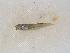  ( - JHLOW00067)  @14 [ ] Unspecified (default): All Rights Reserved  Unspecified Unspecified