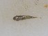 ( - JHLOW00068)  @14 [ ] Unspecified (default): All Rights Reserved  Unspecified Unspecified