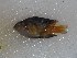  ( - JHLOW00071)  @13 [ ] Unspecified (default): All Rights Reserved  Unspecified Unspecified