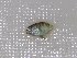 ( - JHLOW00175)  @13 [ ] Unspecified (default): All Rights Reserved  Unspecified Unspecified