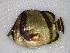  ( - JHLOW00221)  @13 [ ] Unspecified (default): All Rights Reserved  Unspecified Unspecified