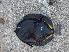  ( - JHLOW00409)  @14 [ ] Unspecified (default): All Rights Reserved  Unspecified Unspecified
