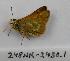  ( - 248NK-2430.1)  @12 [ ] Unspecified (default): All Rights Reserved  Unspecified Unspecified