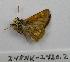  ( - 248NK-2430.2)  @12 [ ] Unspecified (default): All Rights Reserved  Unspecified Unspecified