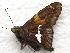  ( - 603NK-2183.1)  @12 [ ] Unspecified (default): All Rights Reserved  Unspecified Unspecified
