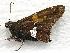  ( - 603NK-2631.2)  @12 [ ] Unspecified (default): All Rights Reserved  Unspecified Unspecified