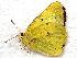  ( - 610NK-2874.1)  @13 [ ] Unspecified (default): All Rights Reserved  Unspecified Unspecified