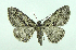  ( - DH000426)  @13 [ ] CreativeCommons - Attribution (2010) Unspecified Centre for Biodiversity Genomics