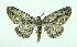  ( - DH000427)  @13 [ ] CreativeCommons - Attribution (2010) Unspecified Centre for Biodiversity Genomics