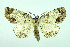  ( - DH000758)  @14 [ ] CreativeCommons - Attribution (2010) Unspecified Centre for Biodiversity Genomics