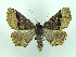  ( - DH001530)  @14 [ ] CreativeCommons - Attribution (2010) Unspecified Centre for Biodiversity Genomics