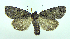  ( - DH002203)  @14 [ ] CreativeCommons - Attribution (2010) Unspecified Centre for Biodiversity Genomics
