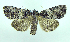  ( - DH002211)  @14 [ ] CreativeCommons - Attribution (2010) Unspecified Centre for Biodiversity Genomics