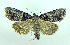  ( - DH002216)  @14 [ ] CreativeCommons - Attribution (2010) Unspecified Centre for Biodiversity Genomics