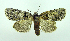  ( - DH002218)  @13 [ ] CreativeCommons - Attribution (2010) Unspecified Centre for Biodiversity Genomics