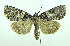  ( - DH002230)  @14 [ ] CreativeCommons - Attribution (2010) Unspecified Centre for Biodiversity Genomics