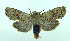  ( - DH002671)  @14 [ ] CreativeCommons - Attribution (2010) Unspecified Centre for Biodiversity Genomics