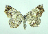  ( - DH002945)  @14 [ ] CreativeCommons - Attribution (2010) Unspecified Centre for Biodiversity Genomics
