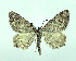  ( - DH003047)  @13 [ ] CreativeCommons - Attribution (2010) Unspecified Centre for Biodiversity Genomics