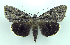  ( - DH003387)  @14 [ ] CreativeCommons - Attribution (2010) Unspecified Centre for Biodiversity Genomics