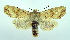  ( - DH004144)  @14 [ ] CreativeCommons - Attribution (2010) Unspecified Centre for Biodiversity Genomics