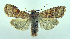  ( - DH004183)  @13 [ ] CreativeCommons - Attribution (2010) Unspecified Centre for Biodiversity Genomics