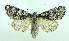  ( - DH004677)  @13 [ ] CreativeCommons - Attribution (2010) Unspecified Centre for Biodiversity Genomics