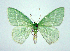  ( - DH004694)  @15 [ ] CreativeCommons - Attribution (2010) Unspecified Centre for Biodiversity Genomics