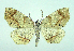  ( - DH004725)  @14 [ ] CreativeCommons - Attribution (2010) Unspecified Centre for Biodiversity Genomics