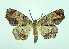  ( - DH004833)  @14 [ ] CreativeCommons - Attribution (2010) Unspecified Centre for Biodiversity Genomics