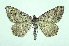  ( - DH004877)  @13 [ ] CreativeCommons - Attribution (2010) Unspecified Centre for Biodiversity Genomics