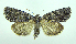  ( - DH005623)  @13 [ ] CreativeCommons - Attribution (2010) Unspecified Centre for Biodiversity Genomics