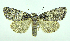  ( - DH007585)  @13 [ ] CreativeCommons - Attribution (2010) Unspecified Centre for Biodiversity Genomics