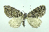  ( - DH007861)  @14 [ ] CreativeCommons - Attribution (2010) Unspecified Centre for Biodiversity Genomics