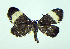  ( - DH008557)  @13 [ ] CreativeCommons - Attribution (2010) Unspecified Centre for Biodiversity Genomics