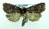  ( - AC000914)  @14 [ ] CreativeCommons - Attribution (2010) Unspecified Centre for Biodiversity Genomics