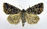  ( - DH010046)  @14 [ ] CreativeCommons - Attribution (2010) Unspecified Centre for Biodiversity Genomics