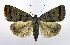  ( - DH010047)  @14 [ ] CreativeCommons - Attribution (2010) Unspecified Centre for Biodiversity Genomics