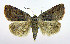  ( - DH010052)  @14 [ ] CreativeCommons - Attribution (2010) Unspecified Centre for Biodiversity Genomics