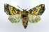  ( - DH010073)  @14 [ ] CreativeCommons - Attribution (2010) Unspecified Centre for Biodiversity Genomics
