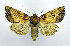  ( - DH010074)  @14 [ ] CreativeCommons - Attribution (2010) Unspecified Centre for Biodiversity Genomics
