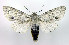  ( - DH002094)  @14 [ ] CreativeCommons - Attribution (2010) Unspecified Centre for Biodiversity Genomics