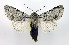  ( - DH002095)  @14 [ ] CreativeCommons - Attribution (2010) Unspecified Centre for Biodiversity Genomics